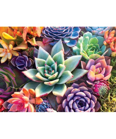 Simple Succulent - 1000 Piece Jigsaw Puzzle $17.62 Jigsaw Puzzles