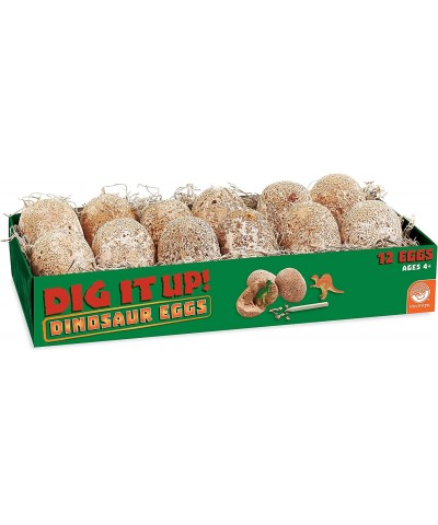 Dig It Up! Dinosaur Eggs and Mineral Stones Set of 2 Dig Kits $82.02 Educational Science Kits