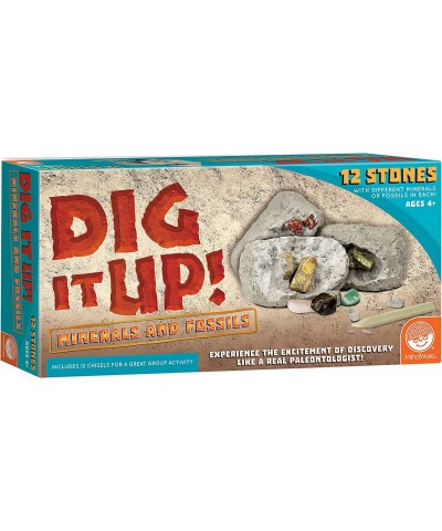 Dig It Up! Dinosaur Eggs and Mineral Stones Set of 2 Dig Kits $82.02 Educational Science Kits