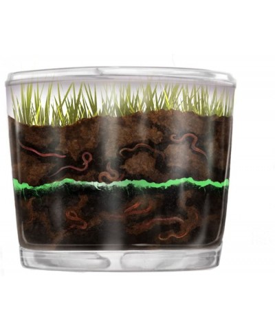 Store Kids Worm Farm Observation Kit with Free Certificate for Live Worms $60.29 Educational Science Kits