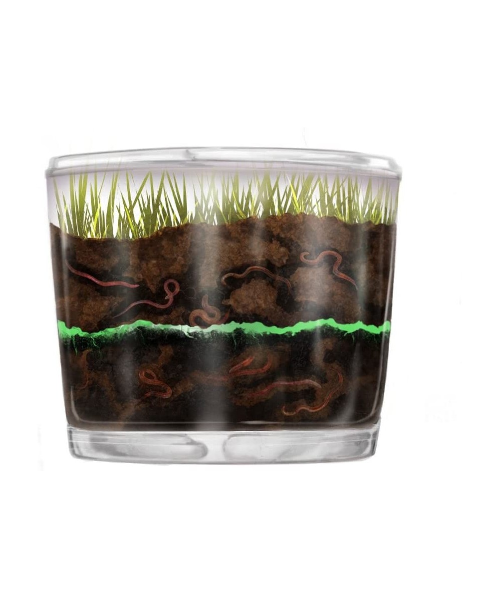 Store Kids Worm Farm Observation Kit with Free Certificate for Live Worms $60.29 Educational Science Kits