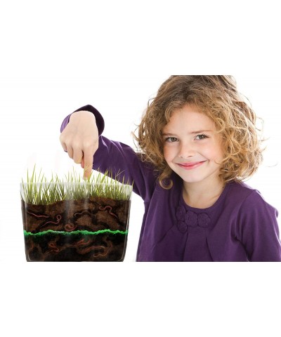 Store Kids Worm Farm Observation Kit with Free Certificate for Live Worms $60.29 Educational Science Kits