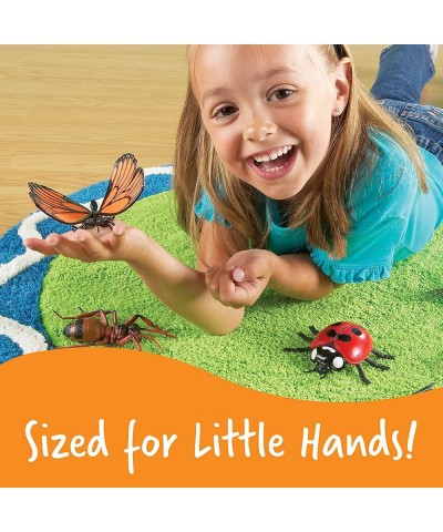 Jumbo Insects - 7 Pieces Ages 3+ Toddler Learning Toys Animal Toys for Kids Preschool Science Learning Toys $58.90 Educationa...