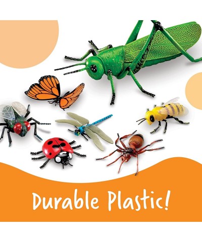 Jumbo Insects - 7 Pieces Ages 3+ Toddler Learning Toys Animal Toys for Kids Preschool Science Learning Toys $58.90 Educationa...