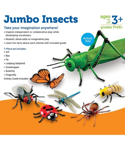 Jumbo Insects - 7 Pieces Ages 3+ Toddler Learning Toys Animal Toys for Kids Preschool Science Learning Toys $58.90 Educationa...