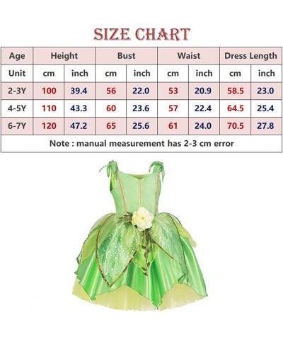 Belle Dress Girls Costume Dress Princess Costumes Birthday Party Dress Up for Little Girls $65.30 Kids' Costumes