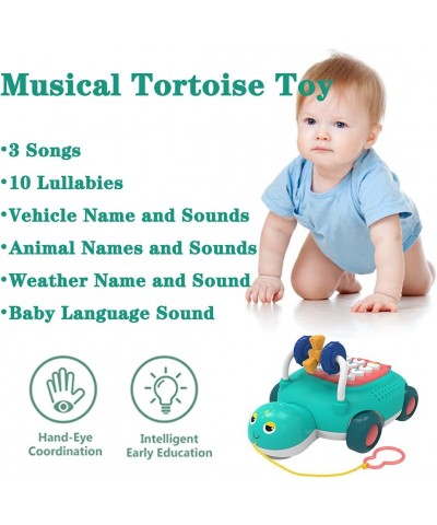 Baby Toys for Boys & Girls Musical Turtle Toy Learning Electronic Toys with Lights and Sounds Early Educational Development T...