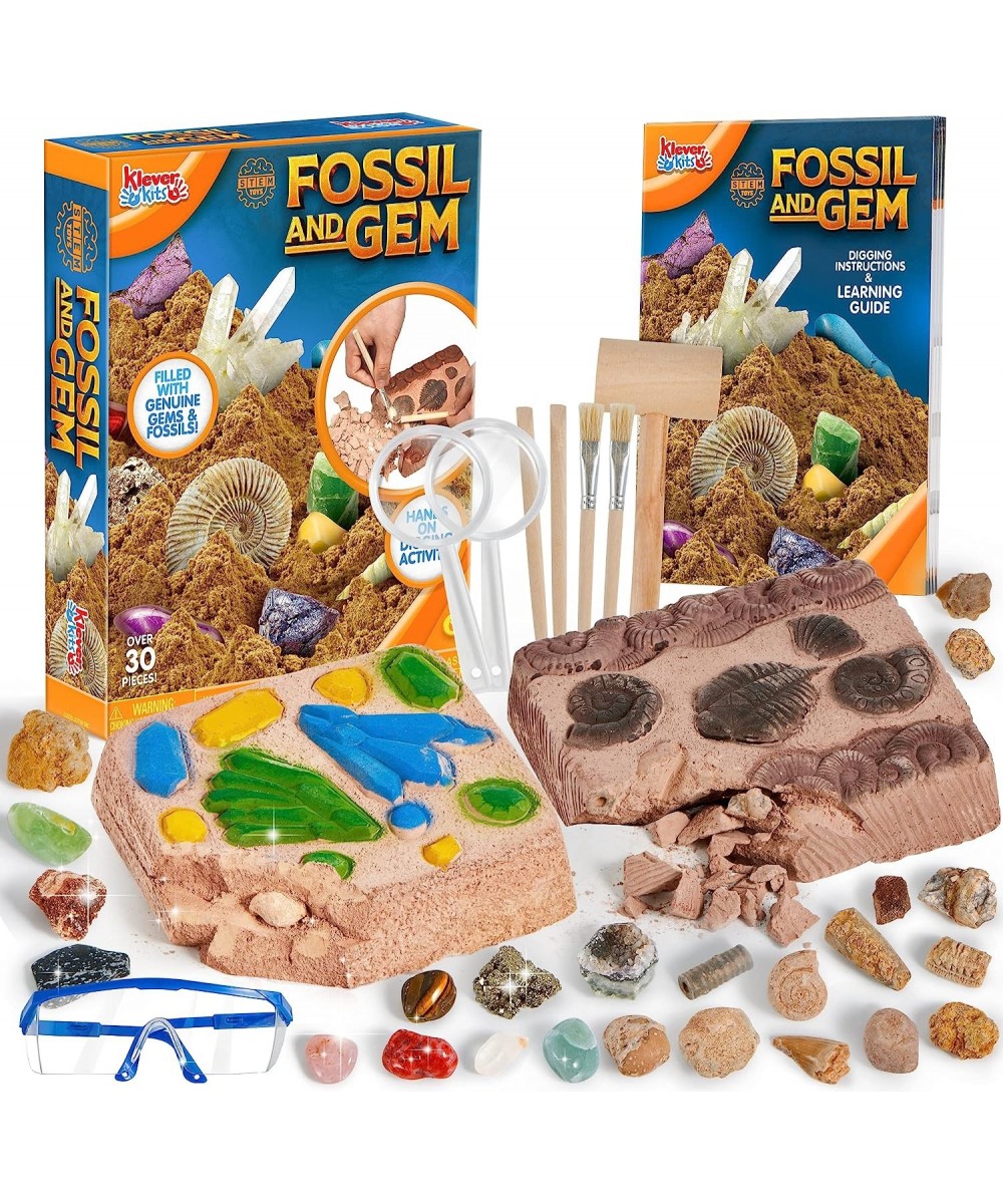 Fossil and Gemstone Dig Kit - 30+ Pcs Digging Kit for Kids Includes 24 Real Fossils Mega Gems and Crystals Shark Tooth Geodes...