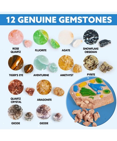 Fossil and Gemstone Dig Kit - 30+ Pcs Digging Kit for Kids Includes 24 Real Fossils Mega Gems and Crystals Shark Tooth Geodes...