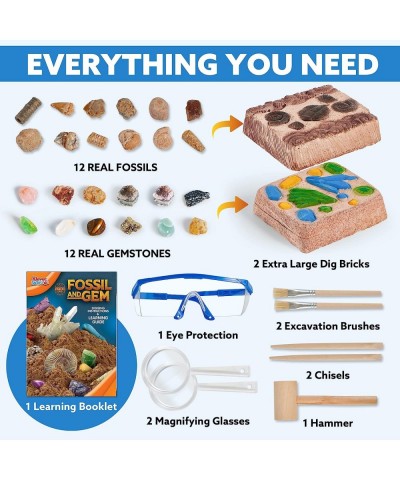 Fossil and Gemstone Dig Kit - 30+ Pcs Digging Kit for Kids Includes 24 Real Fossils Mega Gems and Crystals Shark Tooth Geodes...