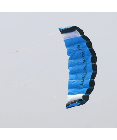 Huge 74inch Dual Line Parachute Stunt Kite with Flying Tools 1.9m Power Parafoil Kitesurfing Training Kites Outdoor Fun Sport...