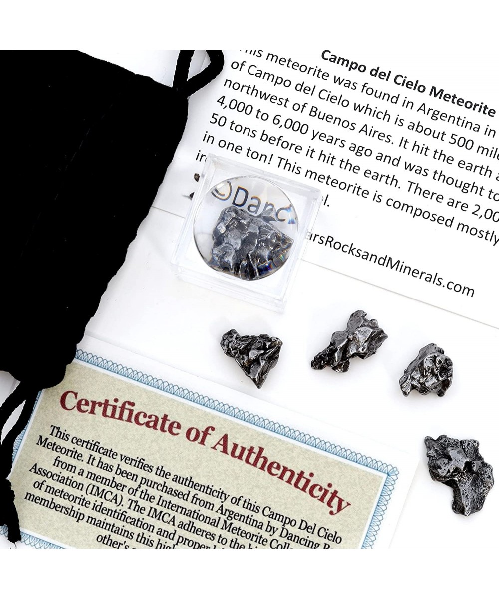 Meteorite from Space 5 pcs Campo del Cielo from Argentina/ Educational Card & Magnifying Box $28.53 Educational Science Kits