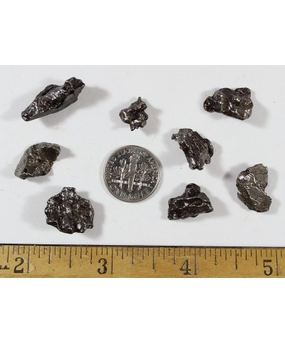 Meteorite from Space 5 pcs Campo del Cielo from Argentina/ Educational Card & Magnifying Box $28.53 Educational Science Kits