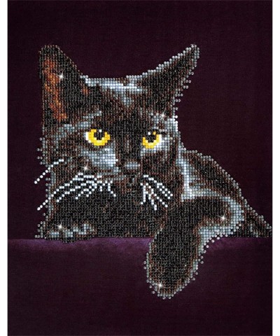 Kit Intermediate Midnight Cat $27.60 Craft Kits