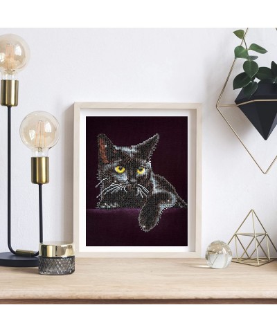 Kit Intermediate Midnight Cat $27.60 Craft Kits