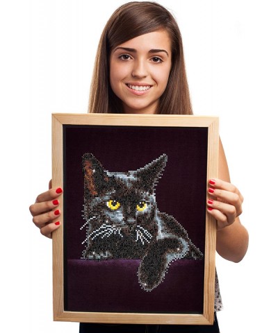 Kit Intermediate Midnight Cat $27.60 Craft Kits