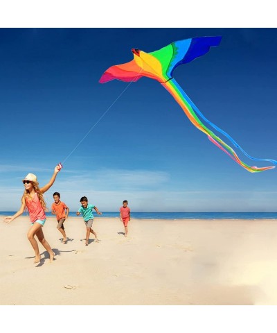 HENGDA KITE-Strong Phoenix for Kids & Adults with Long Colorful Tail!Huge Beginner Colorful Rainbow Bird Phoenix Kites 74-Inc...