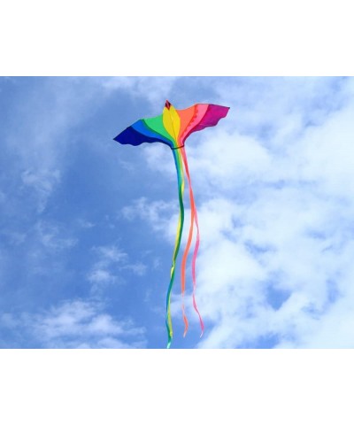 HENGDA KITE-Strong Phoenix for Kids & Adults with Long Colorful Tail!Huge Beginner Colorful Rainbow Bird Phoenix Kites 74-Inc...